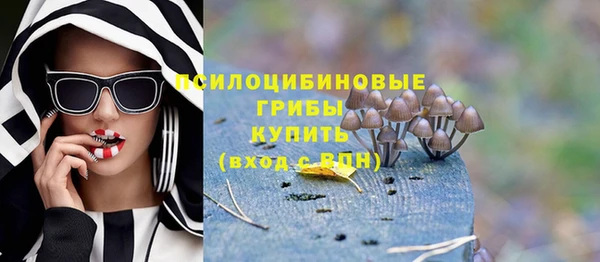 хмурый Аркадак
