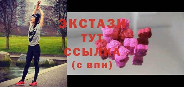 хмурый Аркадак