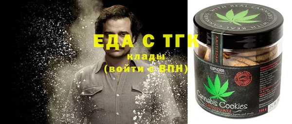 хмурый Аркадак