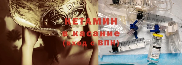 хмурый Аркадак
