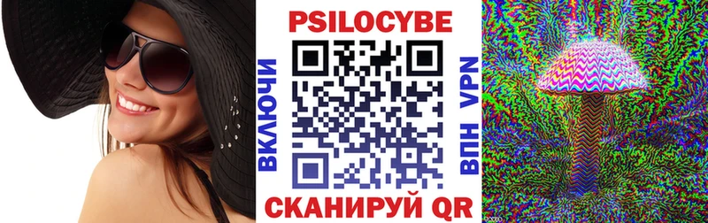 дарнет шоп  Теберда  Псилоцибиновые грибы Psilocybe 